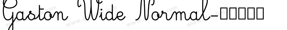 Gaston Wide Normal字体转换